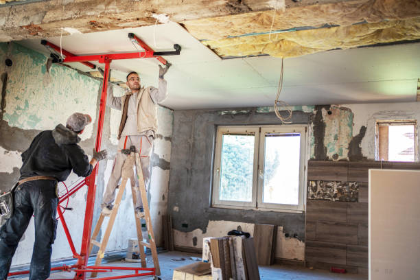 Best Cellulose Insulation in Willits, CA
