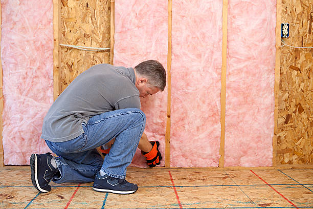 Best Geographic-Specific Insulation Services in Willits, CA
